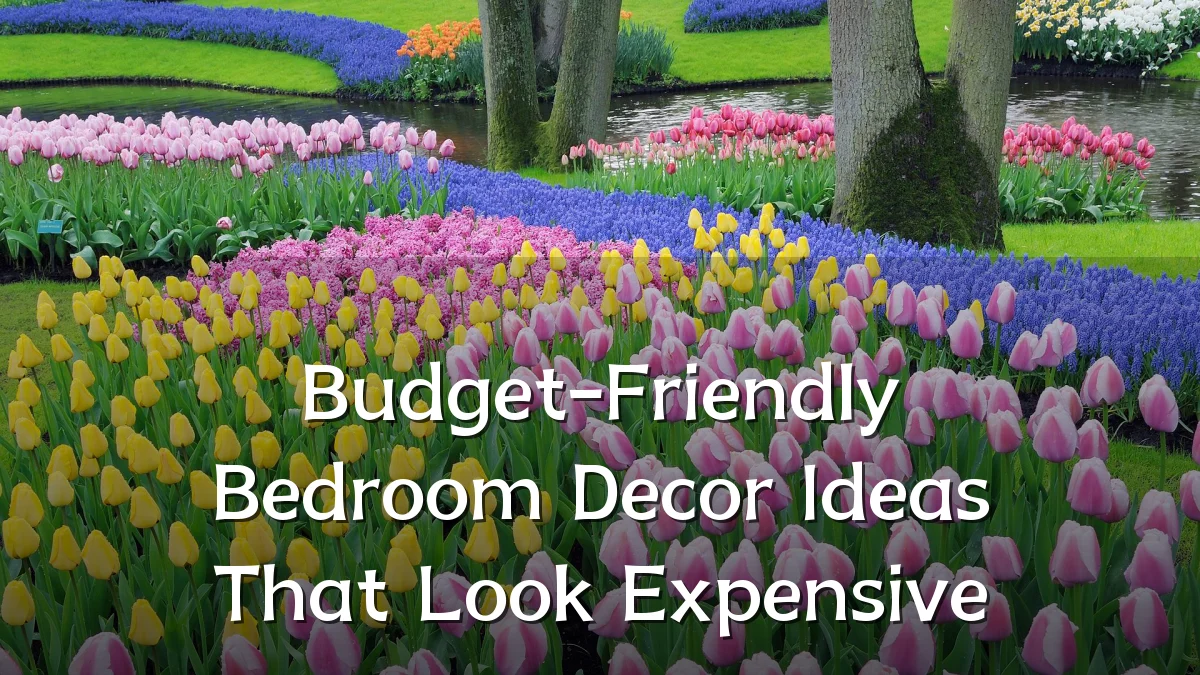 Budget-Friendly Bedroom Decor Ideas That Look Expensive