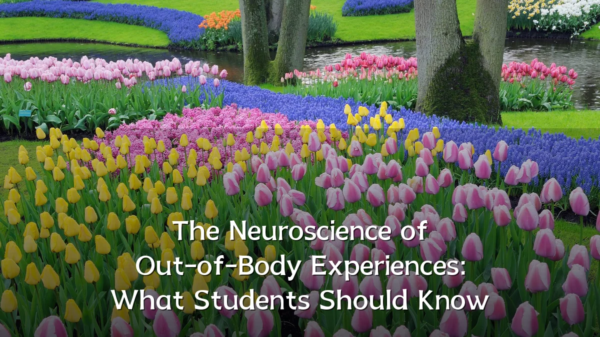 The Neuroscience of Out-of-Body Experiences: What Students Should Know