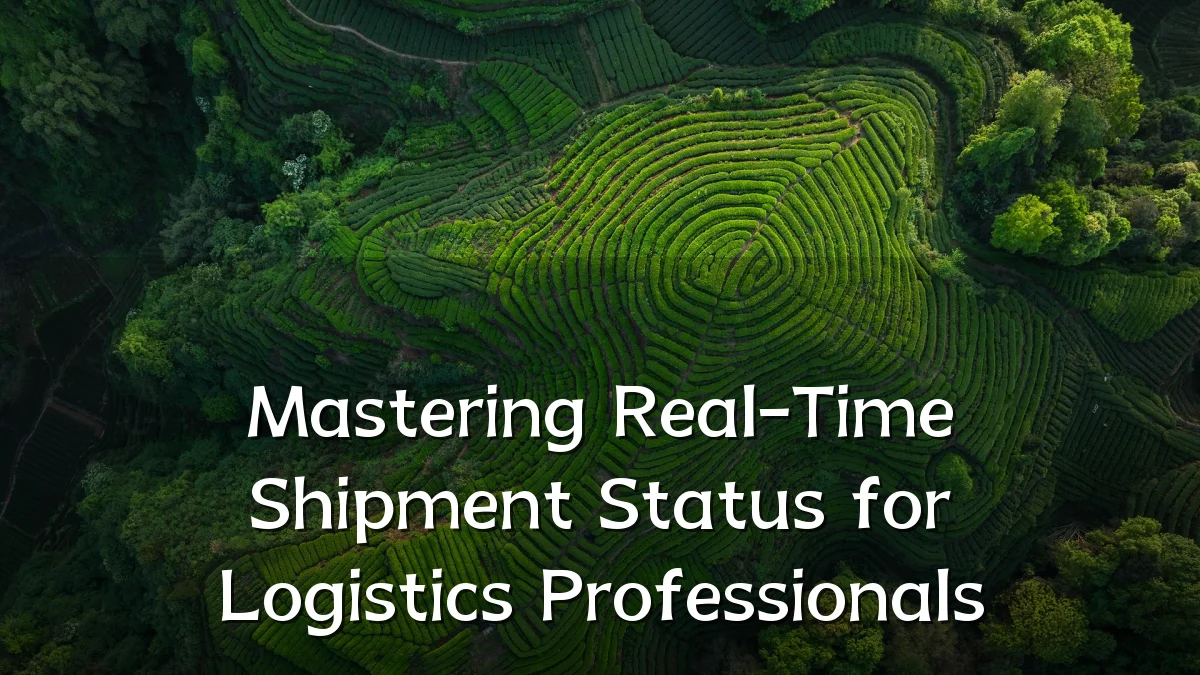 Mastering Real-Time Shipment Status for Logistics Professionals