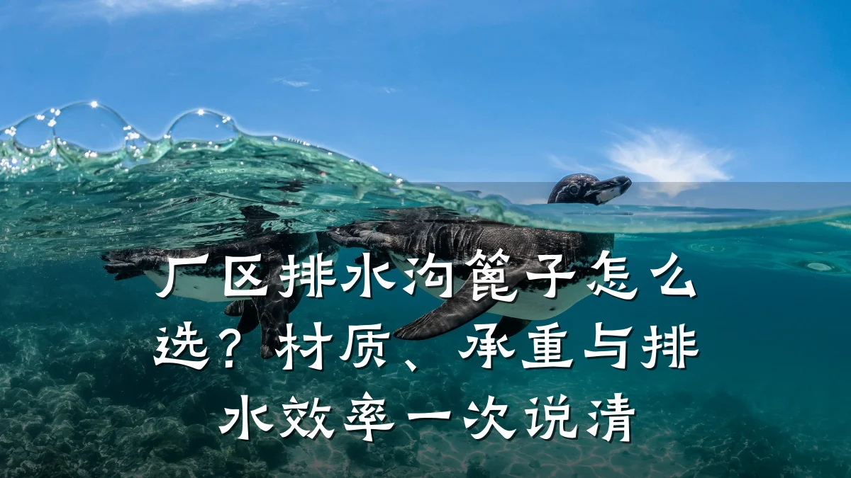 厂区排水沟篦子怎么选？材质、承重与排水效率一次说清