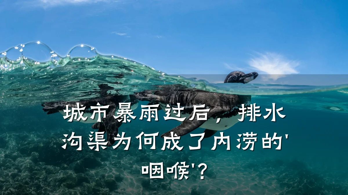 城市暴雨过后，排水沟渠为何成了内涝的'咽喉'？