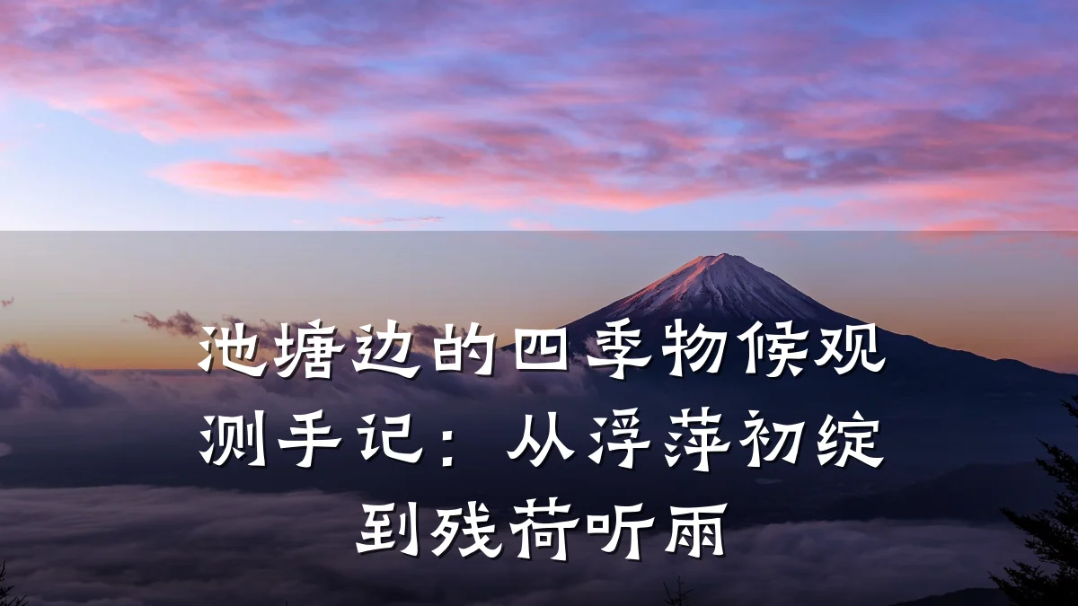 池塘边的四季物候观测手记：从浮萍初绽到残荷听雨