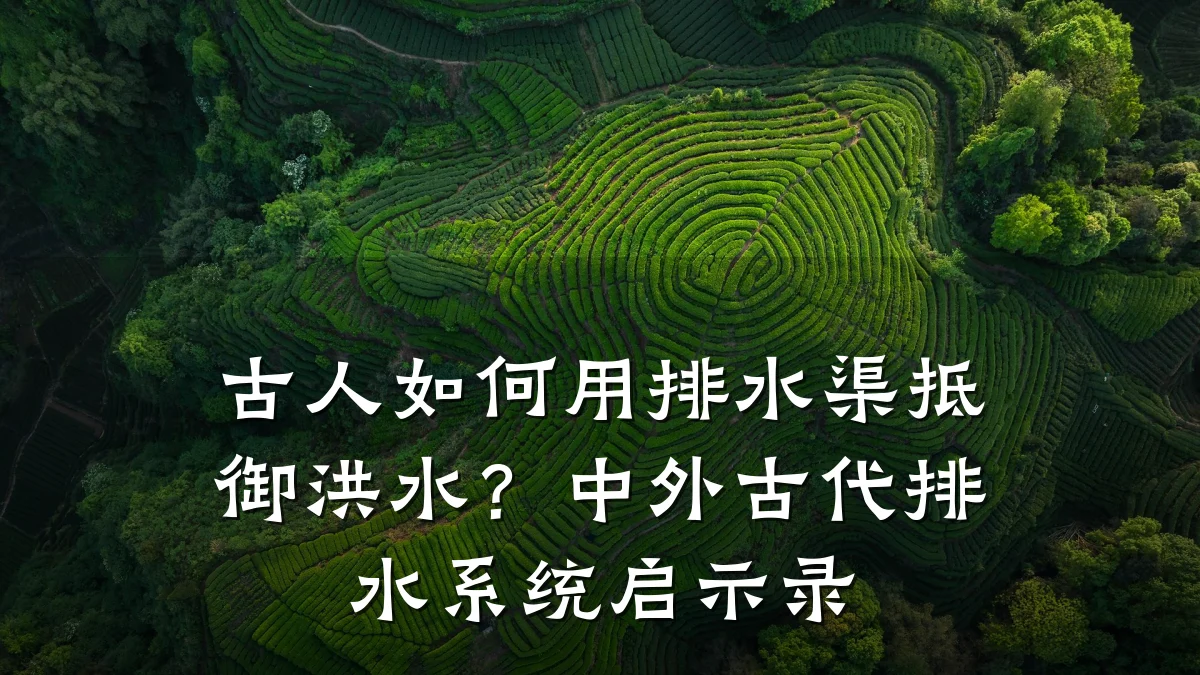 古人如何用排水渠抵御洪水？中外古代排水系统启示录
