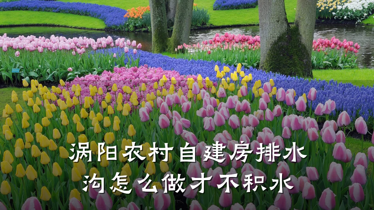 涡阳农村自建房排水沟怎么做才不积水