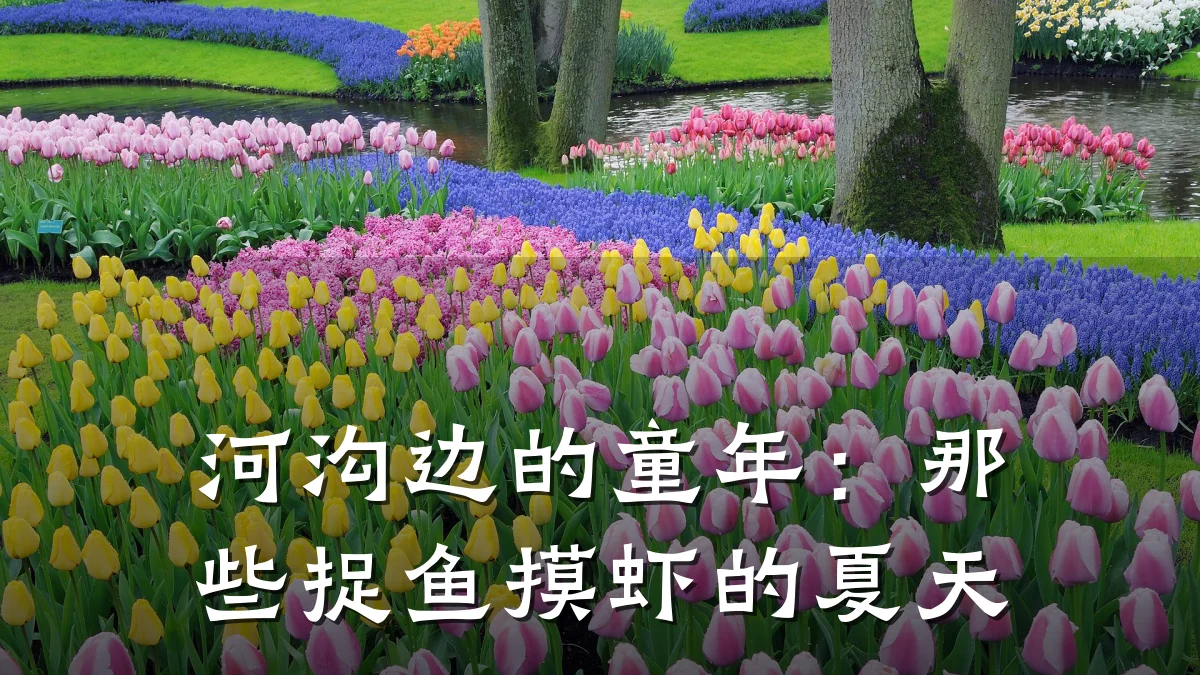 河沟边的童年：那些捉鱼摸虾的夏天