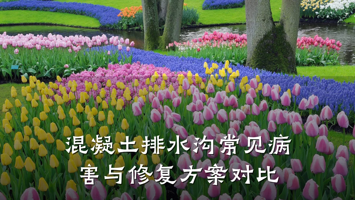混凝土排水沟常见病害与修复方案对比