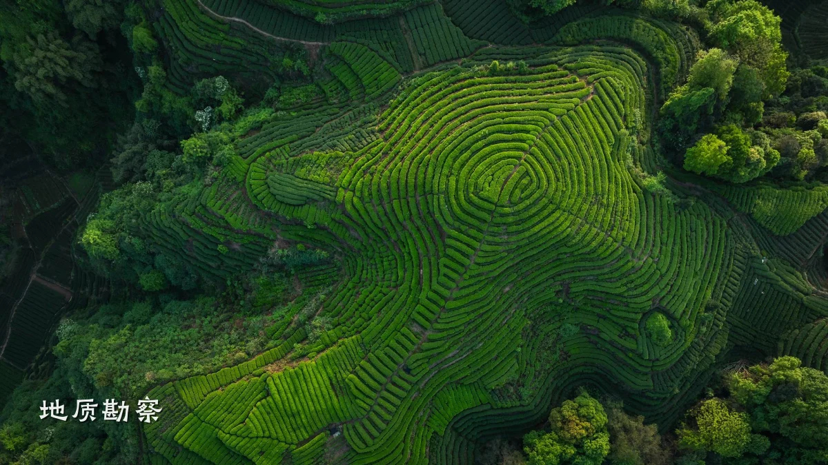 地质勘察