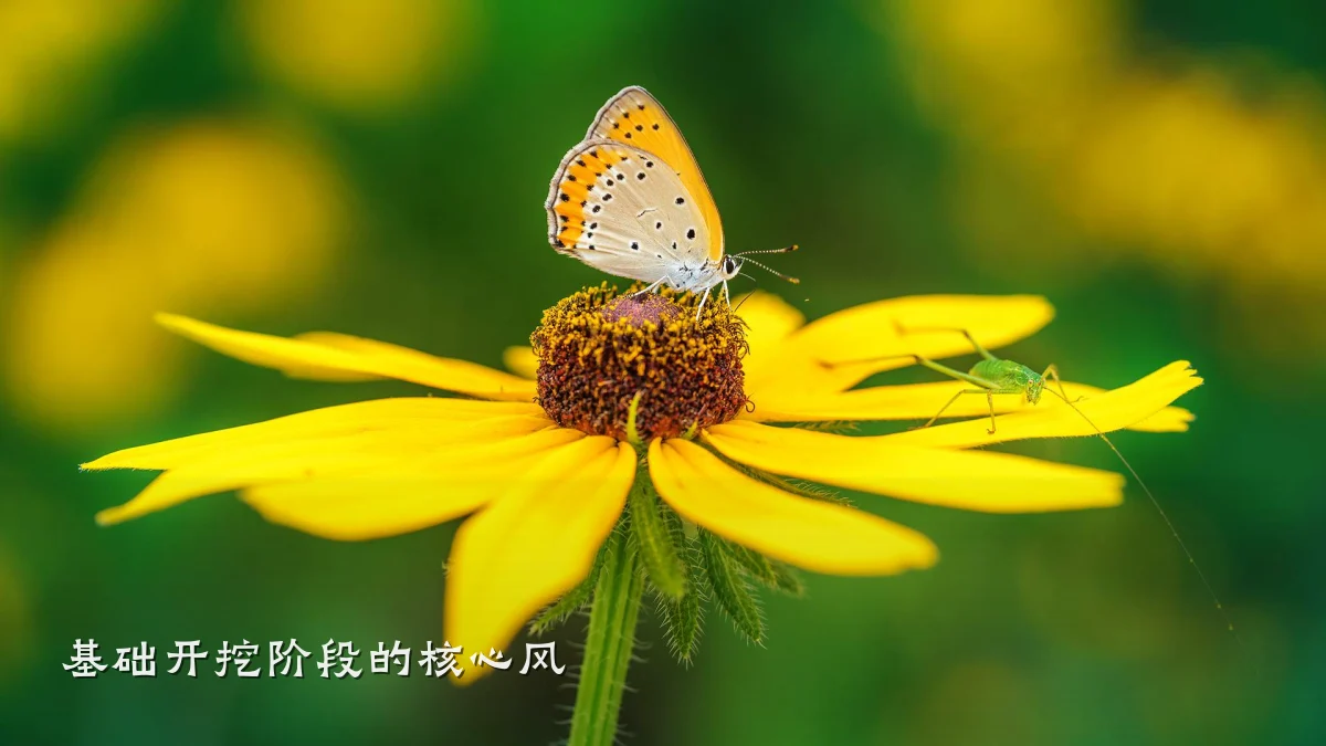 基础开挖阶段的核心风