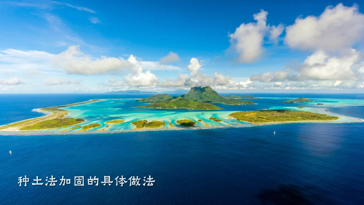种土法加固的具体做法