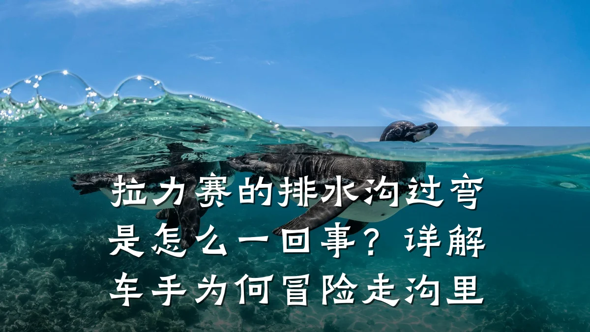 拉力赛的排水沟过弯是怎么一回事？详解车手为何冒险走沟里