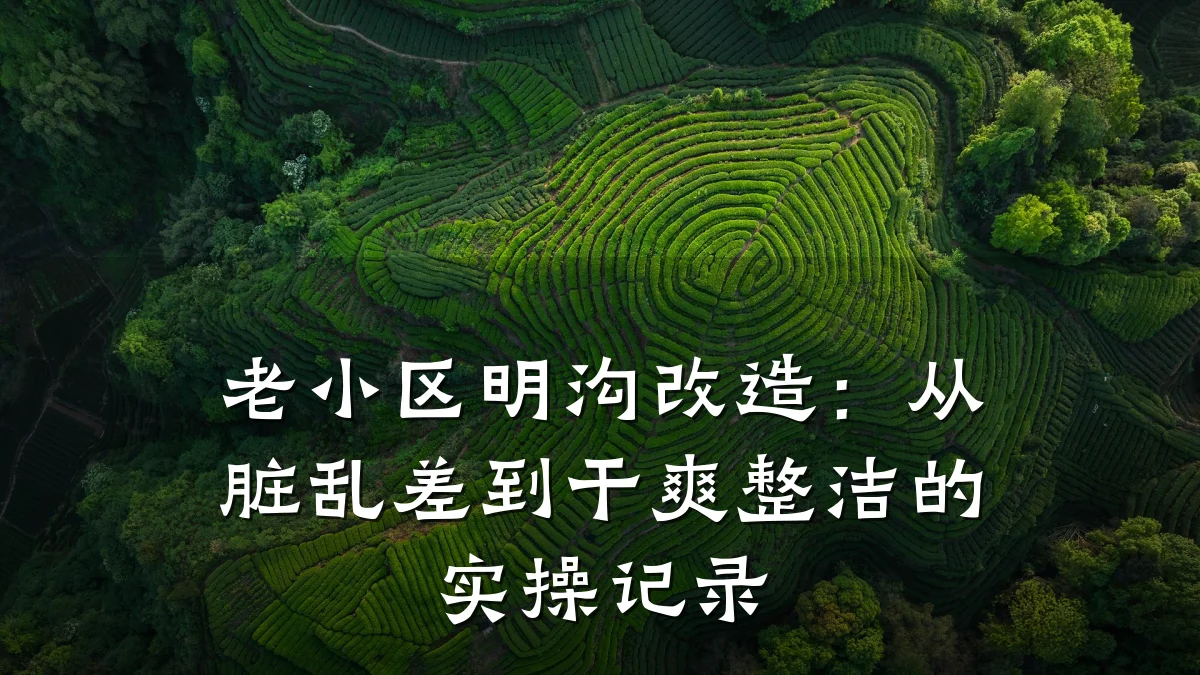 老小区明沟改造:从脏乱差到干爽整洁的实操记录
