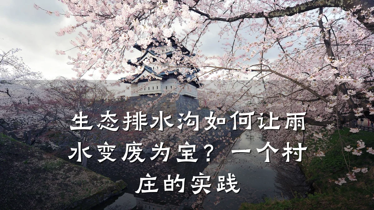 生态排水沟如何让雨水变废为宝？一个村庄的实践