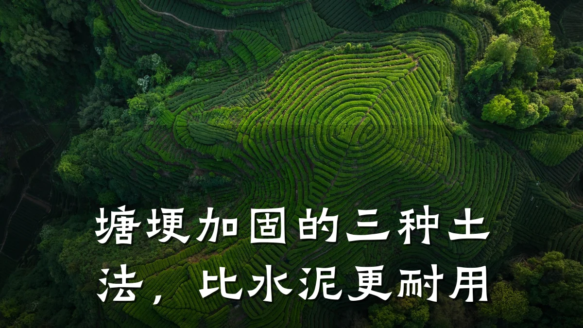 塘埂加固的三种土法，比水泥更耐用