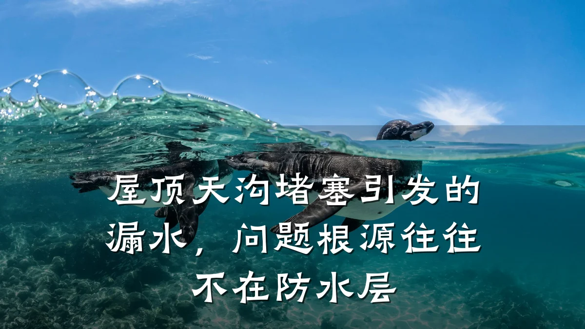 屋顶天沟堵塞引发的漏水,问题根源往往不在防水层