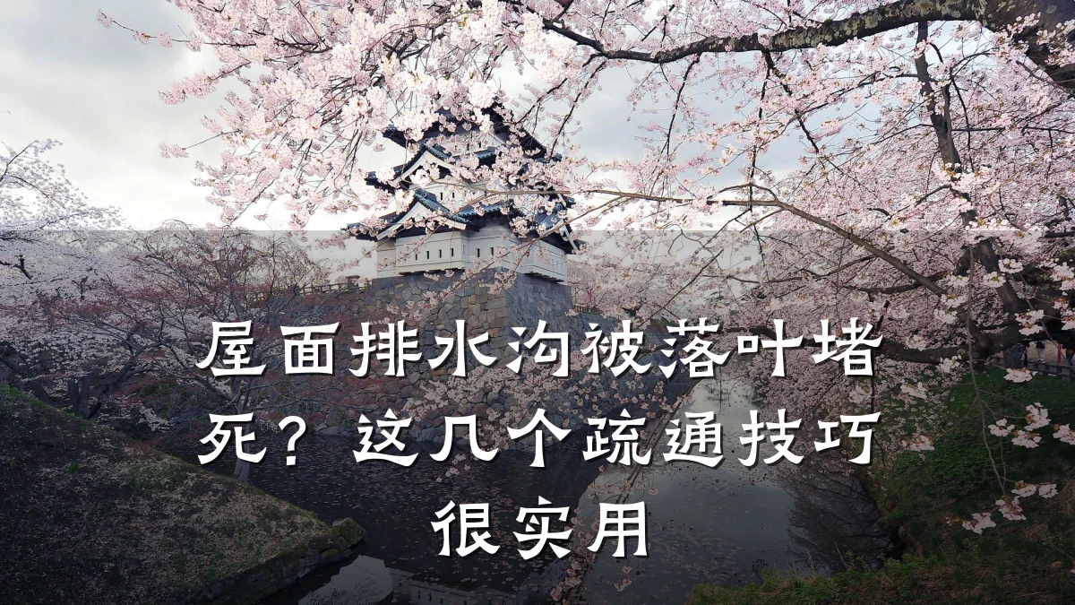 屋面排水沟被落叶堵死？这几个疏通技巧很实用