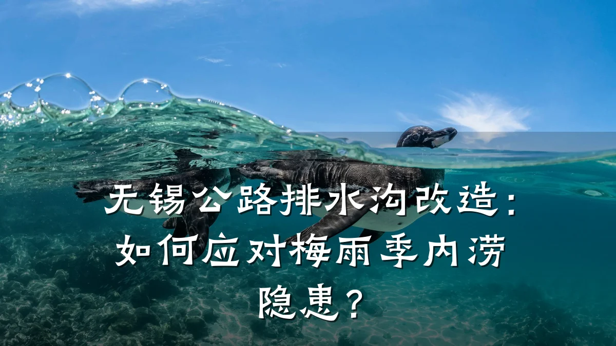 无锡公路排水沟改造：如何应对梅雨季内涝隐患？
