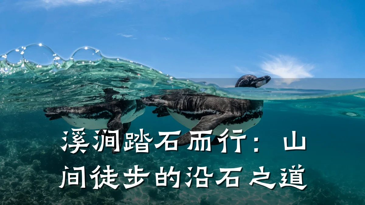 溪涧踏石而行：山间徒步的沿石之道