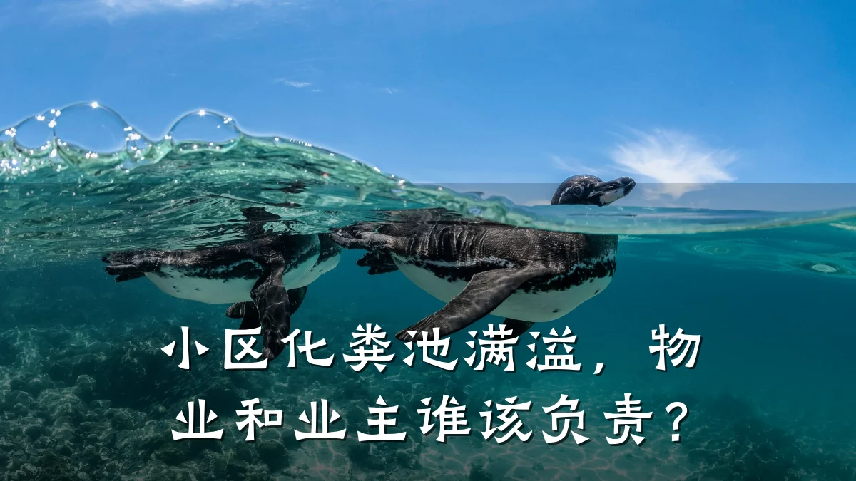 小区化粪池满溢，物业和业主谁该负责？