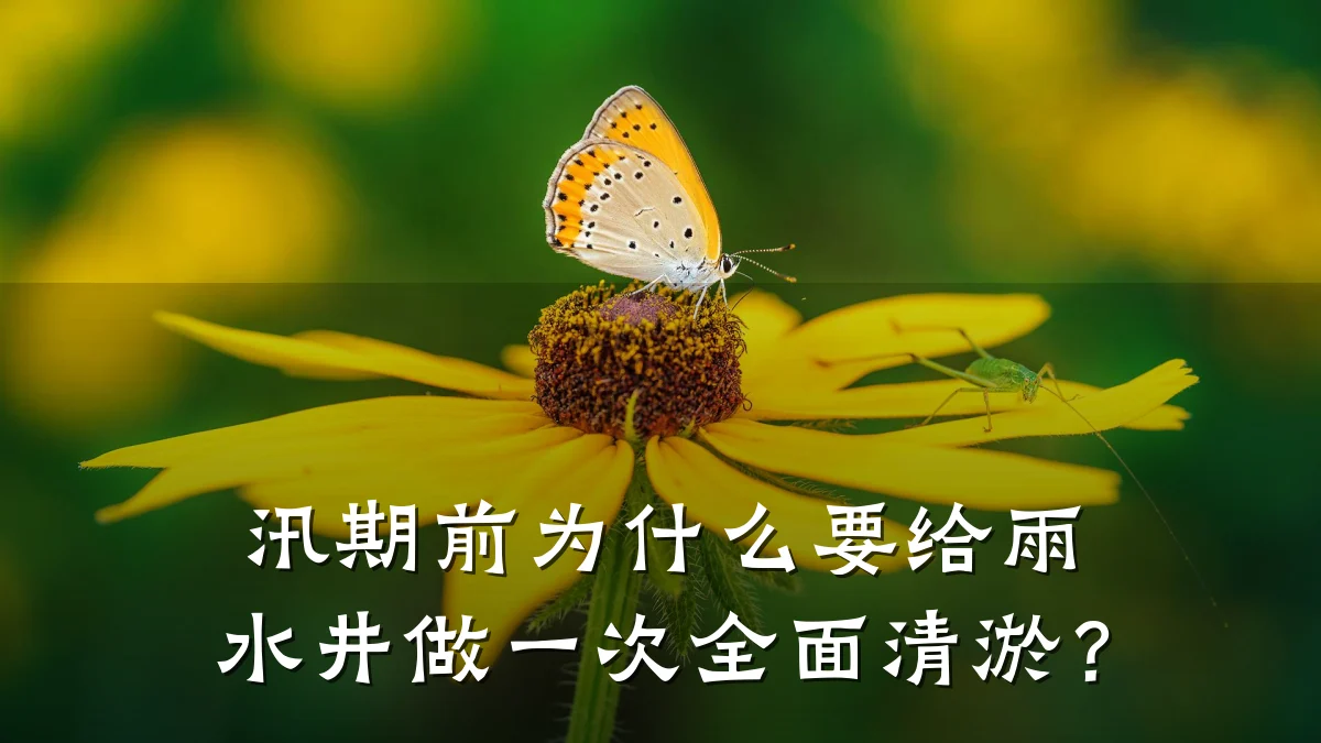 汛期前为什么要给雨水井做一次全面清淤？