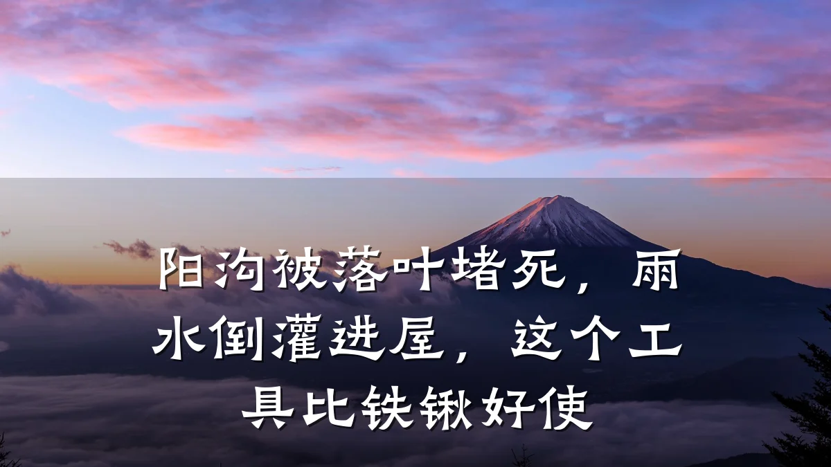 阳沟被落叶堵死，雨水倒灌进屋，这个工具比铁锹好使