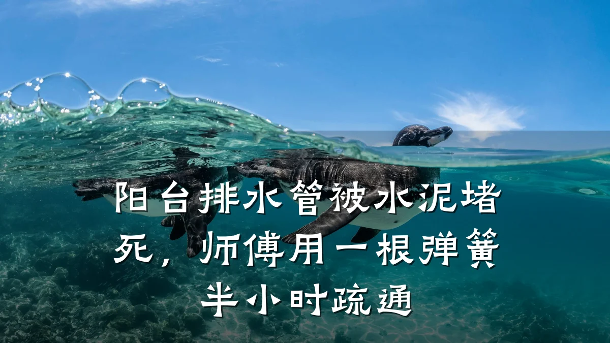 阳台排水管被水泥堵死，师傅用一根弹簧半小时疏通