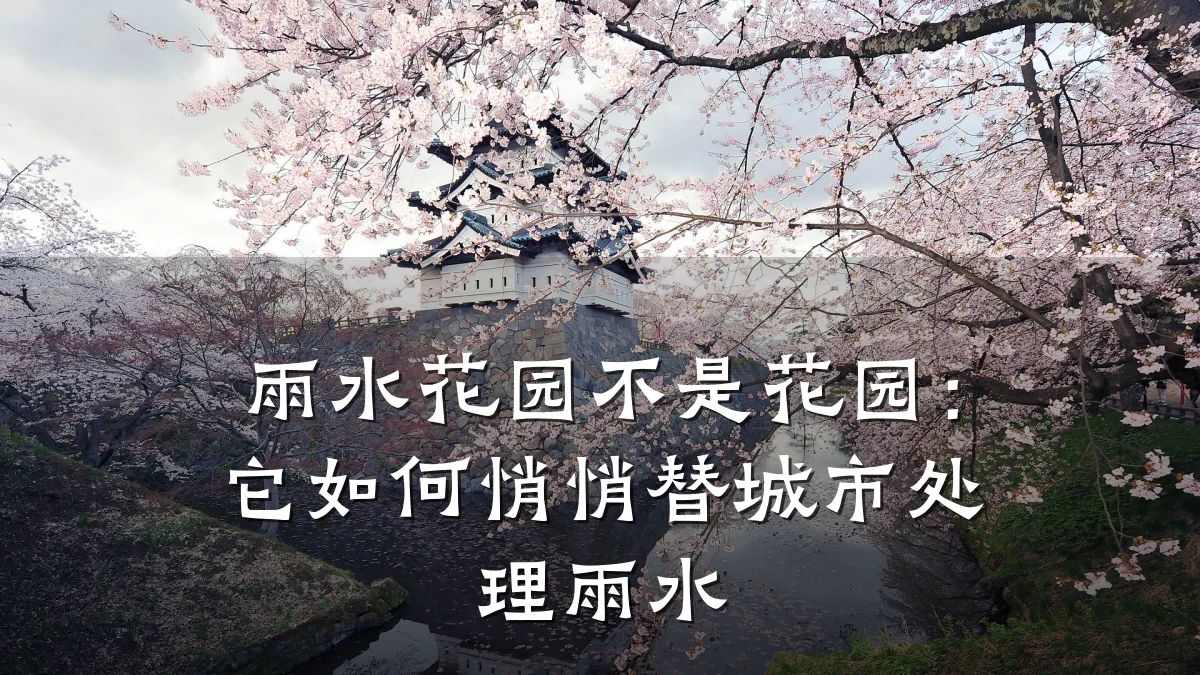 雨水花园不是花园：它如何悄悄替城市处理雨水