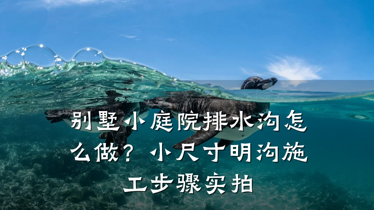 别墅小庭院排水沟怎么做？小尺寸明沟施工步骤实拍