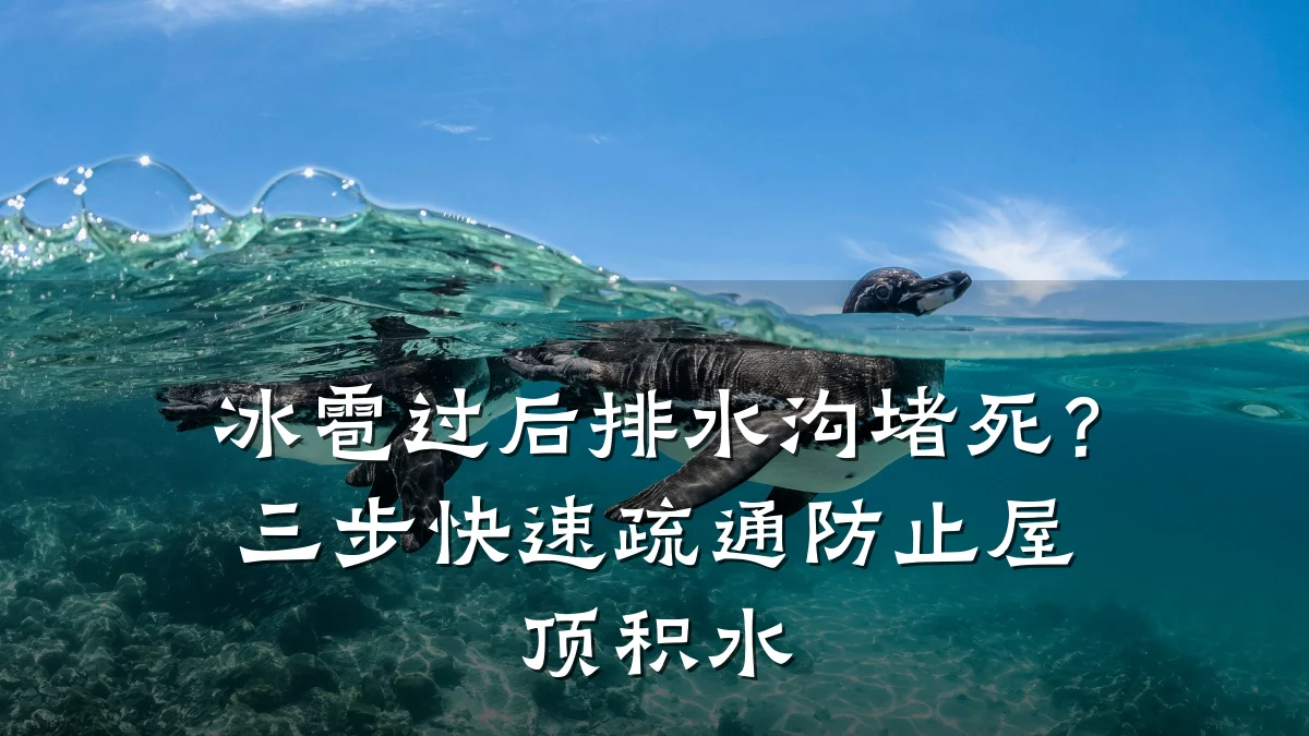 冰雹过后排水沟堵死？三步快速疏通防止屋顶积水