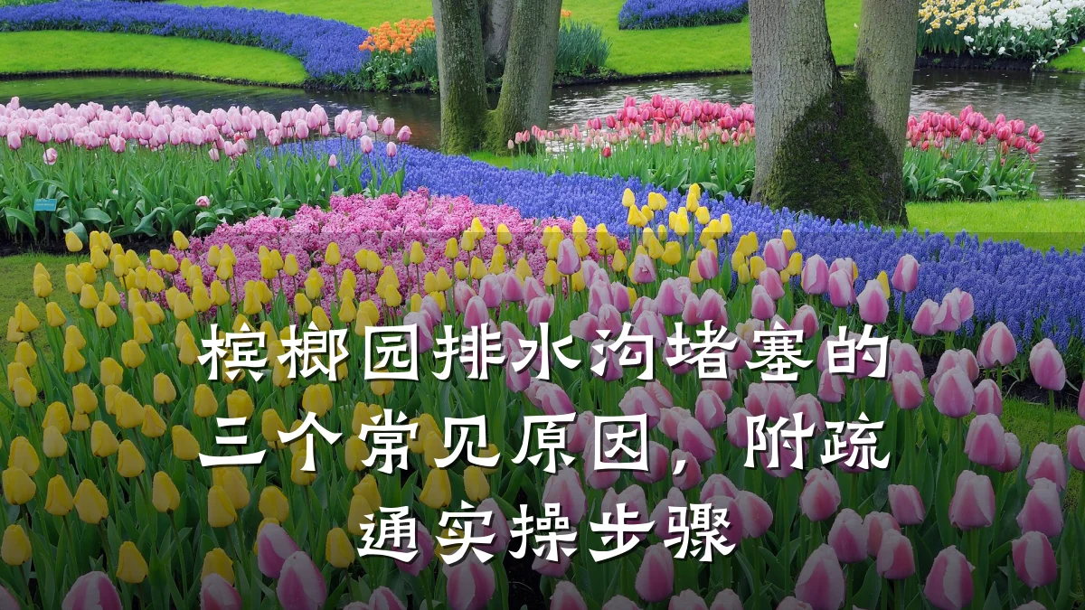 槟榔园排水沟堵塞的三个常见原因，附疏通实操步骤