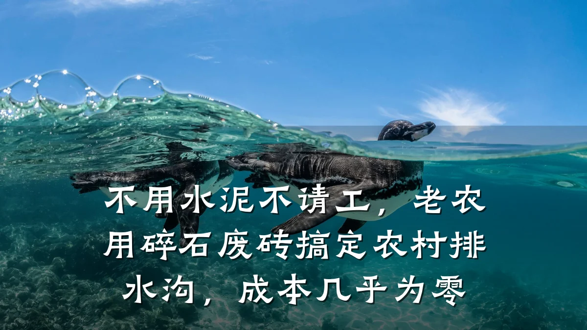 不用水泥不请工，老农用碎石废砖搞定农村排水沟，成本几乎为零