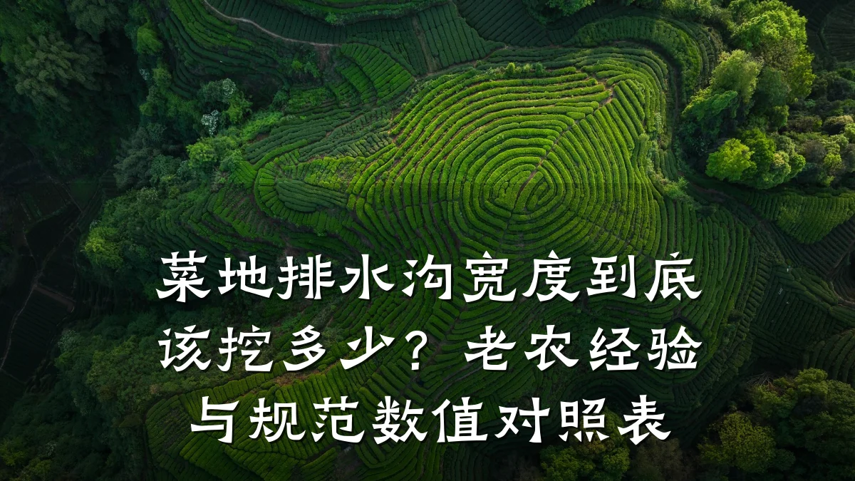 菜地排水沟宽度到底该挖多少？老农经验与规范数值对照表