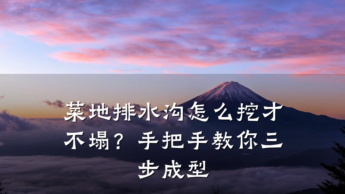 菜地排水沟怎么挖才不塌？手把手教你三步成型