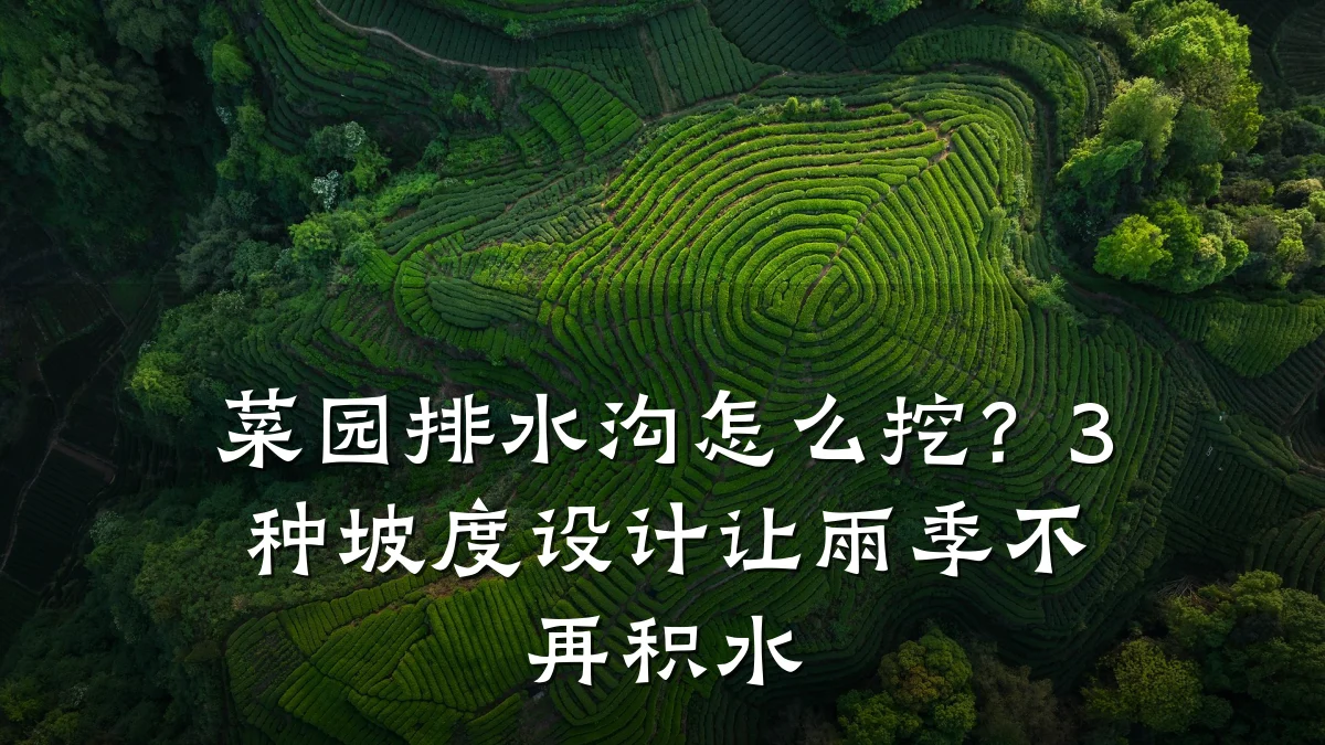 菜园排水沟怎么挖？3种坡度设计让雨季不再积水