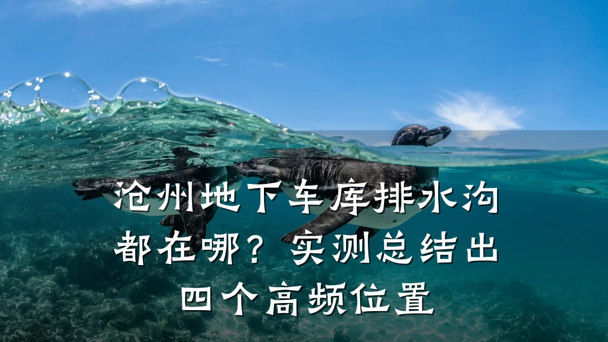 沧州地下车库排水沟都在哪？实测总结出四个高频位置