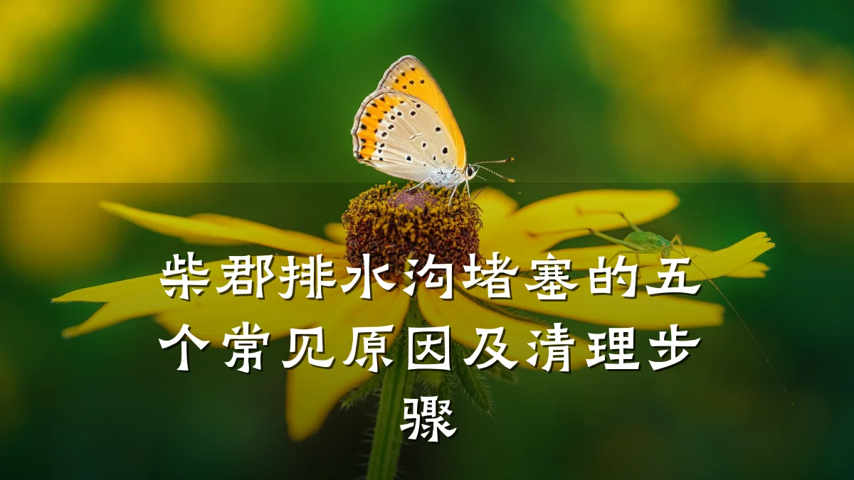 柴郡排水沟堵塞的五个常见原因及清理步骤