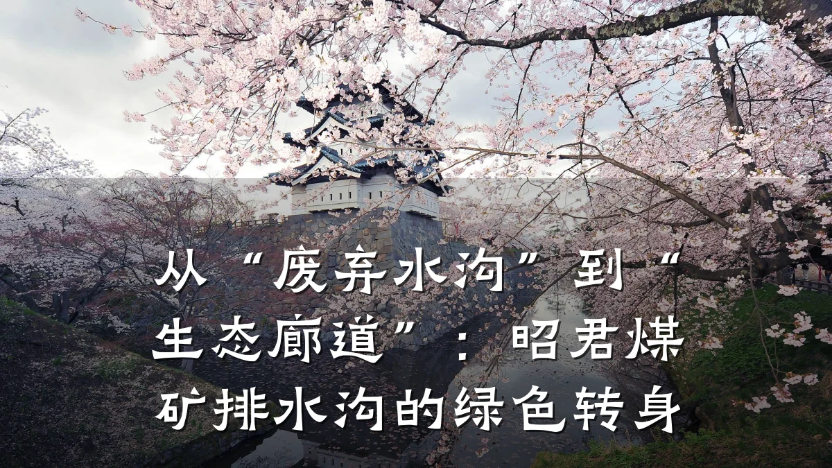 从“废弃水沟”到“生态廊道”：昭君煤矿排水沟的绿色转身