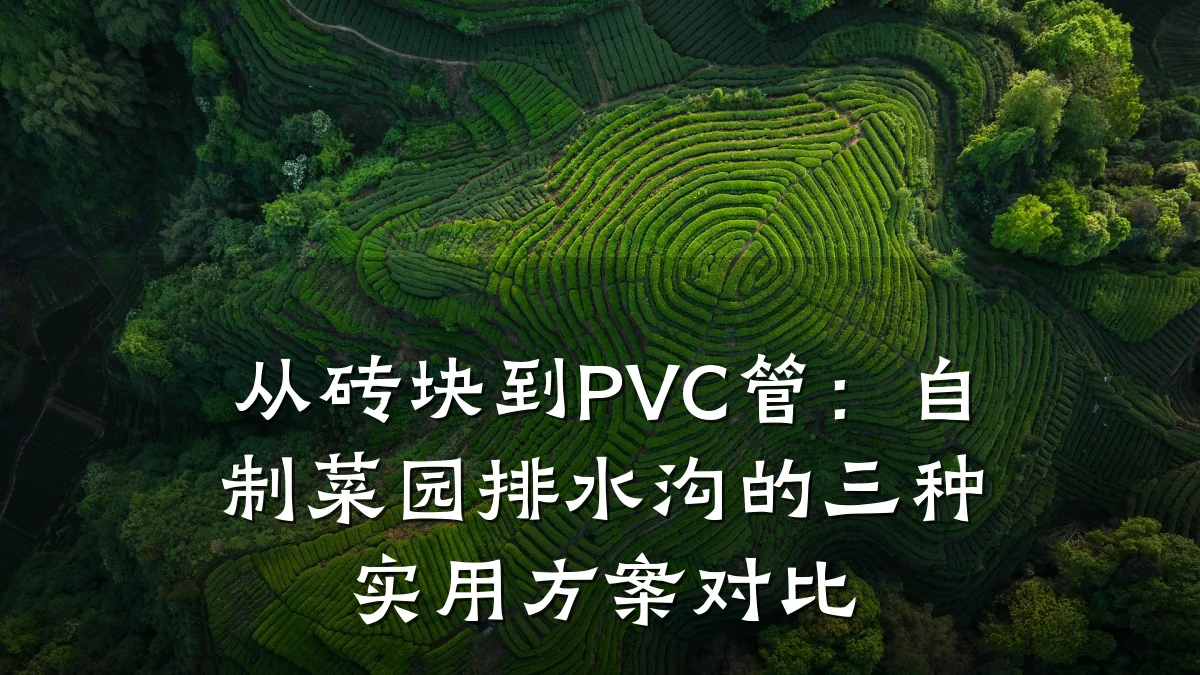 从砖块到PVC管：自制菜园排水沟的三种实用方案对比
