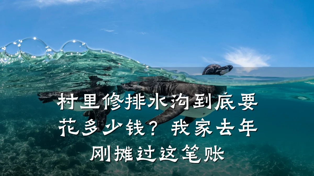 村里修排水沟到底要花多少钱？我家去年刚摊过这笔账