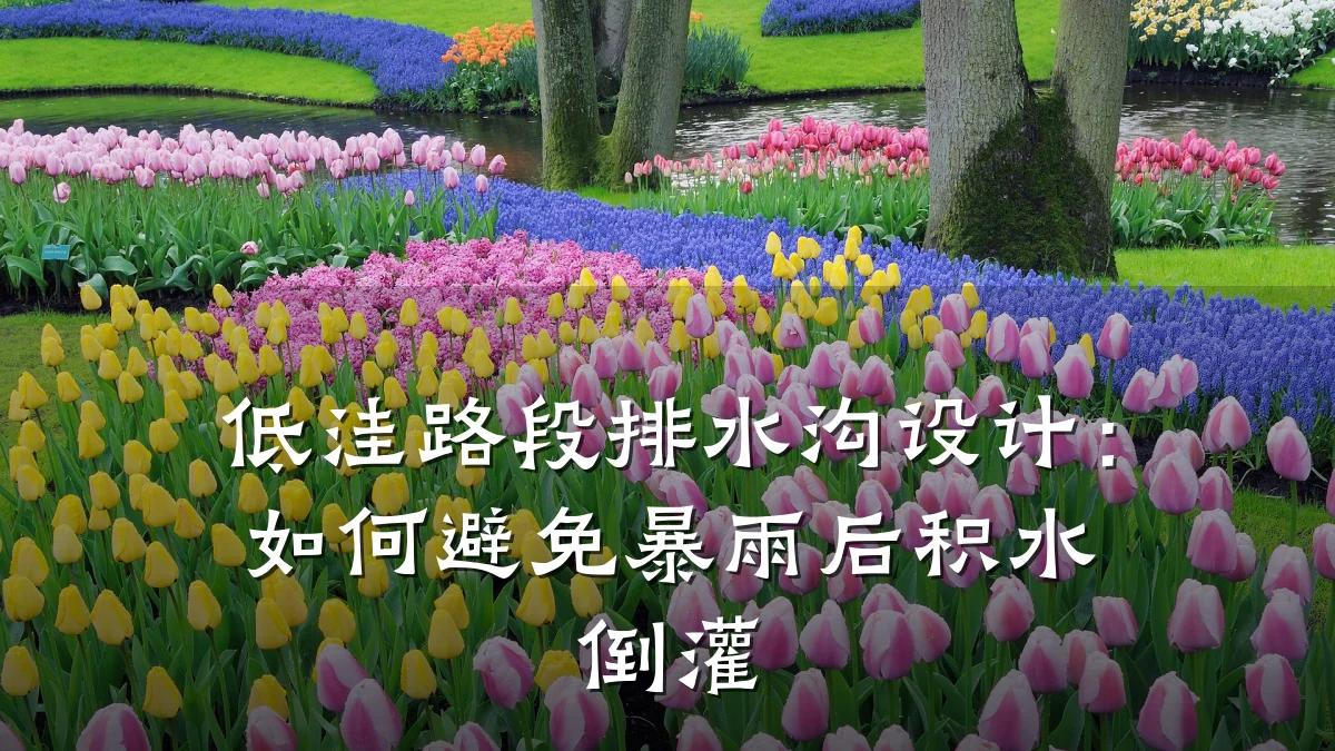 低洼路段排水沟设计:如何避免暴雨后积水倒灌