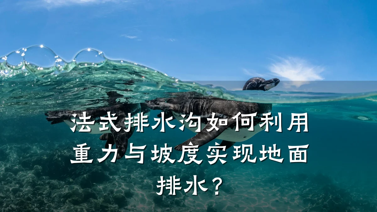 法式排水沟如何利用重力与坡度实现地面排水?