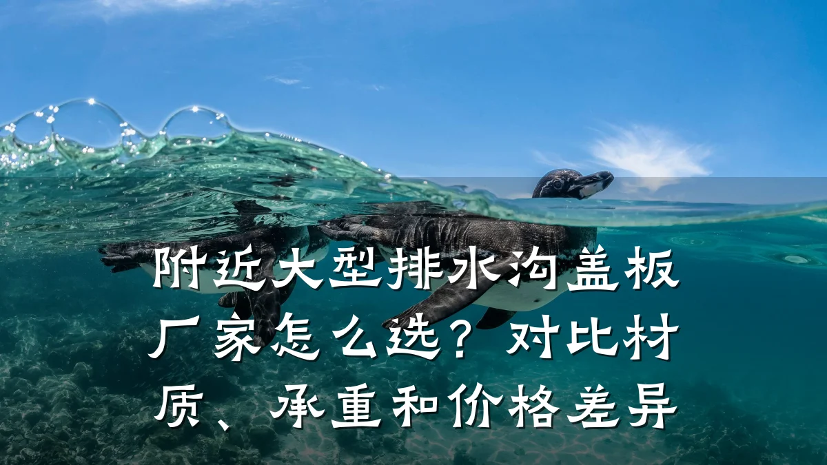 附近大型排水沟盖板厂家怎么选？对比材质、承重和价格差异