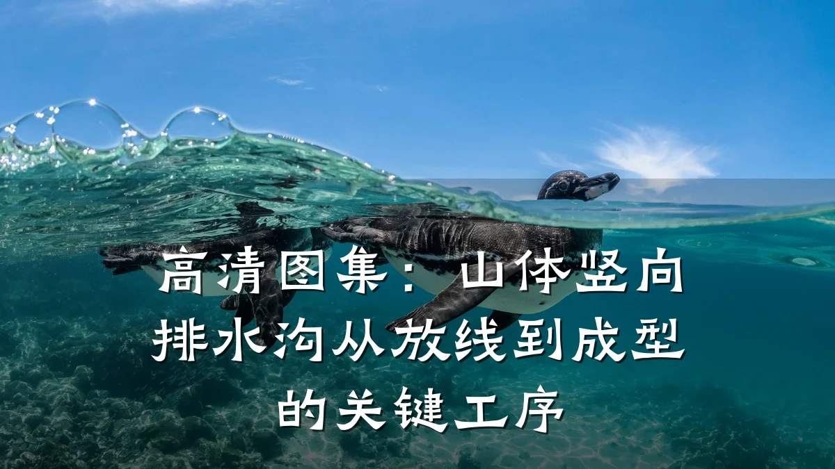 高清图集：山体竖向排水沟从放线到成型的关键工序