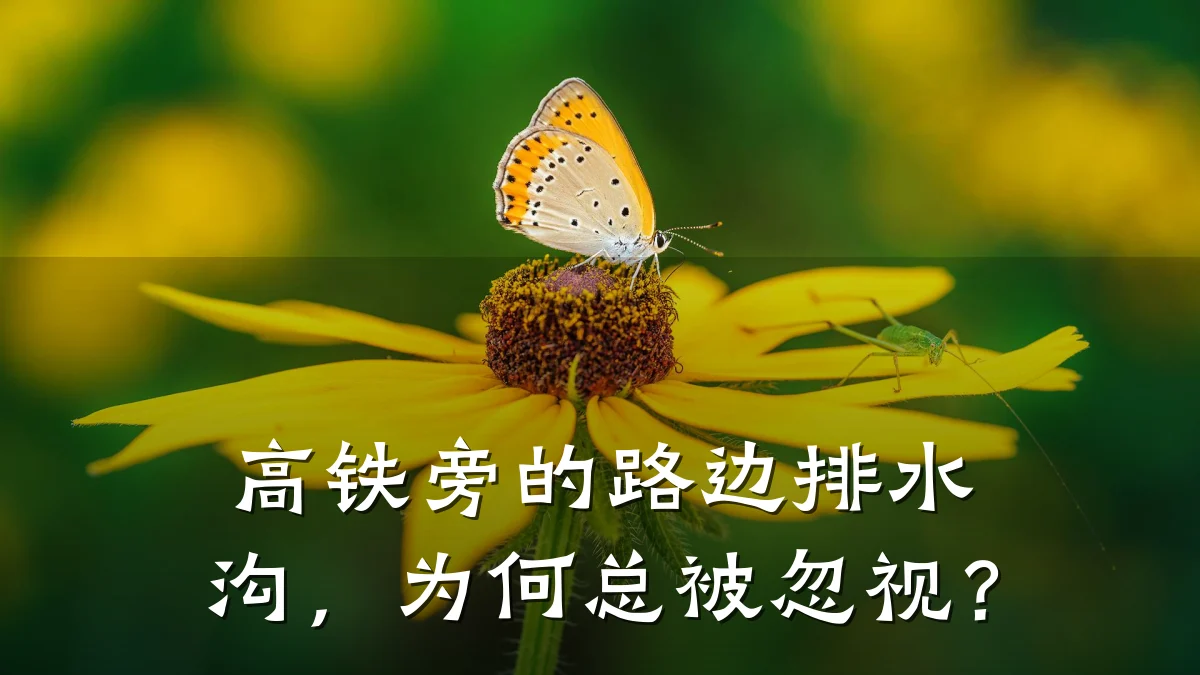 高铁旁的路边排水沟，为何总被忽视？