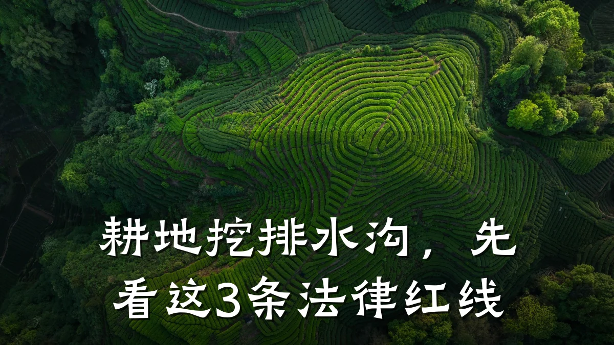 耕地挖排水沟,先看这3条法律红线