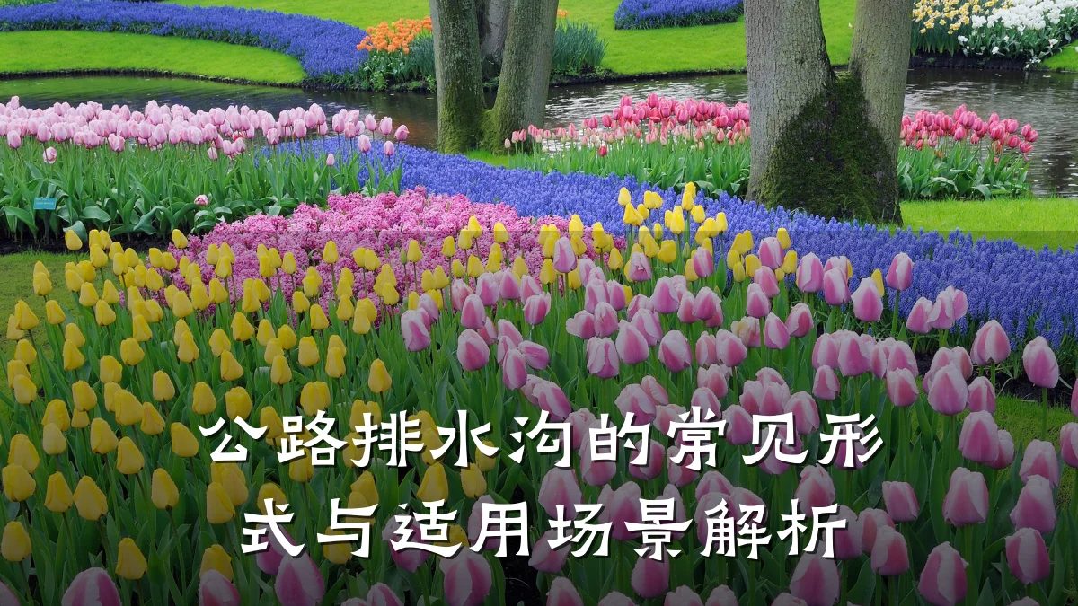 公路排水沟的常见形式与适用场景解析