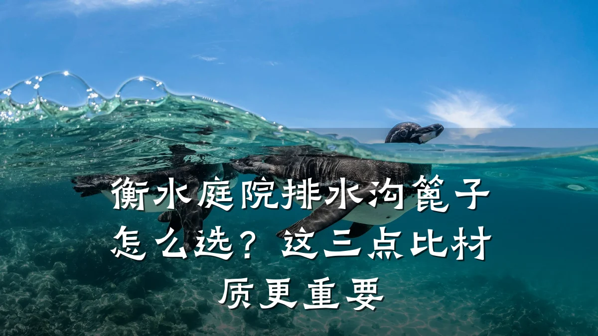 衡水庭院排水沟篦子怎么选？这三点比材质更重要