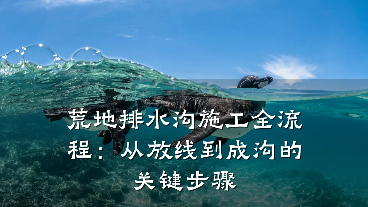 荒地排水沟施工全流程：从放线到成沟的关键步骤