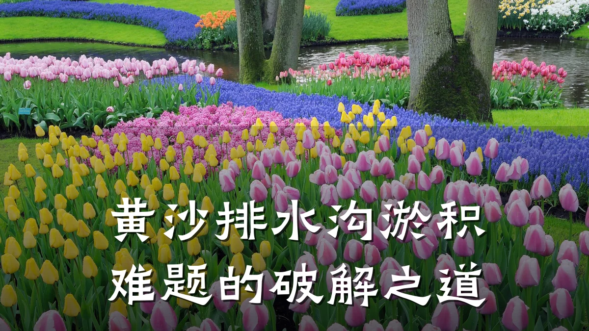 黄沙排水沟淤积难题的破解之道