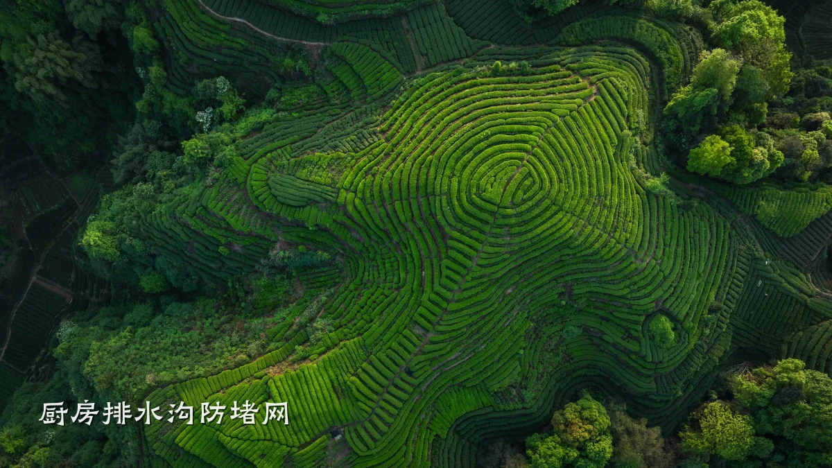 厨房排水沟防堵网