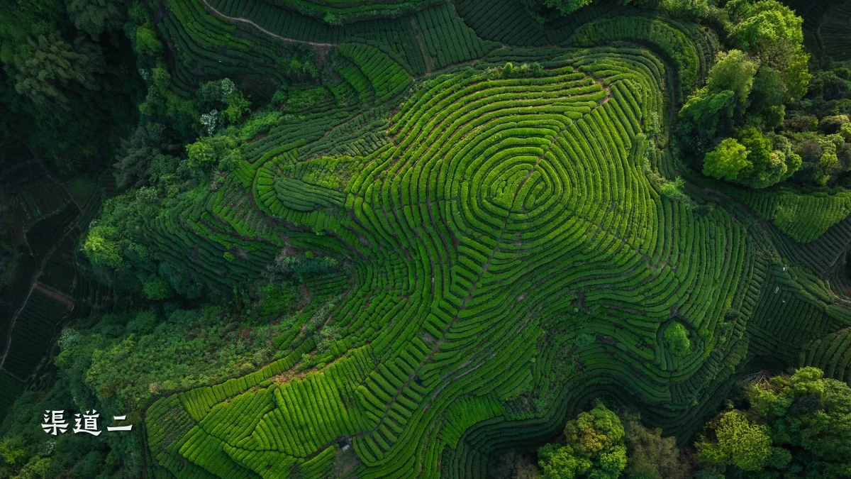 渠道二